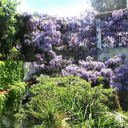 La Salamandra Kitchengarden Bed & Breakfast 3*