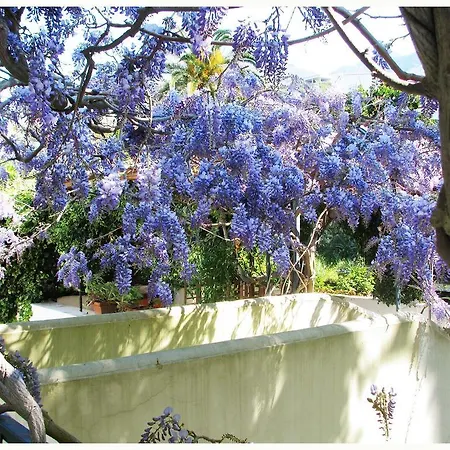 La Salamandra Kitchengarden Bed & Breakfast