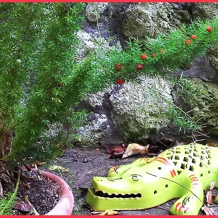 Bed & Breakfast La Salamandra Kitchengarden 3*