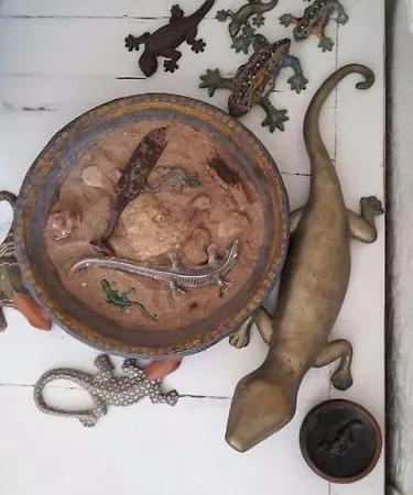 La Salamandra Kitchengarden Forio di Ischia