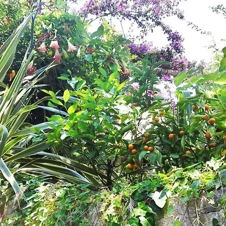 La Salamandra Kitchengarden
