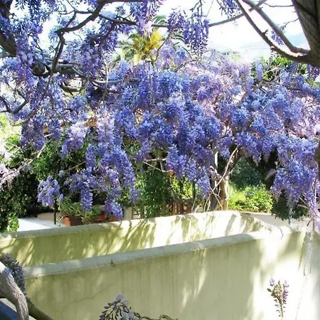 La Salamandra Kitchengarden 3* Forio di Ischia