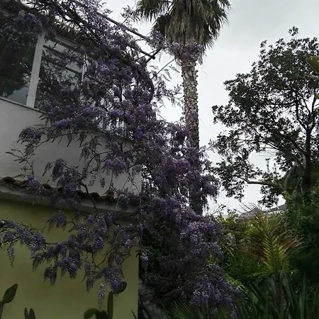 Bed & Breakfast La Salamandra Kitchengarden 3*