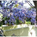 La Salamandra Kitchengarden فندق مبيت وإفطار