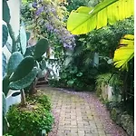 فندق مبيت وإفطار La Salamandra Kitchengarden Forio di Ischia