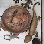 La Salamandra Kitchengarden Forio di Ischia
