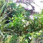 La Salamandra Kitchengarden