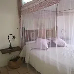 La Salamandra Kitchengarden Forio di Ischia