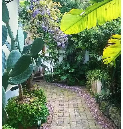 住宿加早餐酒店 La Salamandra Kitchengarden Forio di Ischia