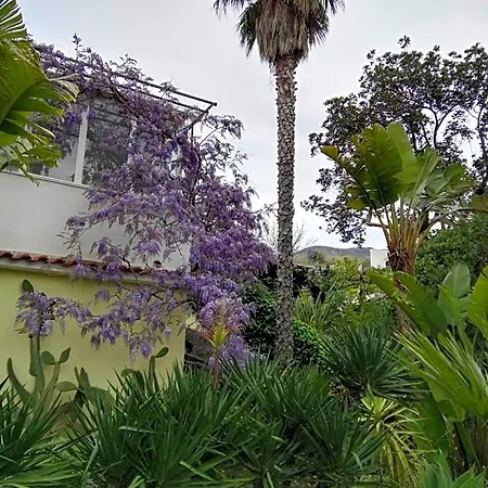 La Salamandra Kitchengarden Forio di Ischia