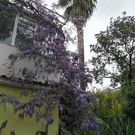 La Salamandra Kitchengarden