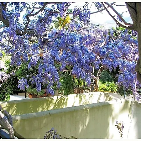 La Salamandra Kitchengarden B&B 4*