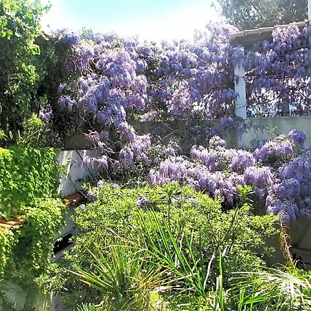 B&B La Salamandra Kitchengarden