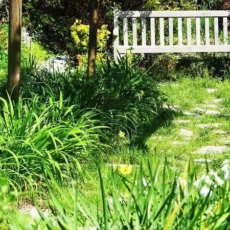 La Salamandra Kitchengarden 住宿加早餐酒店 Forio di Ischia