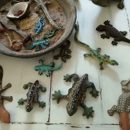 فندق مبيت وإفطار La Salamandra Kitchengarden Forio di Ischia