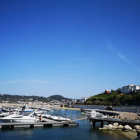 La Salamandra Kitchengarden فندق مبيت وإفطار Forio di Ischia