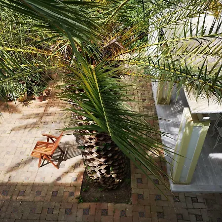 Bed & Breakfast La Salamandra Kitchengarden Forio di Ischia